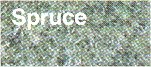 Spruce