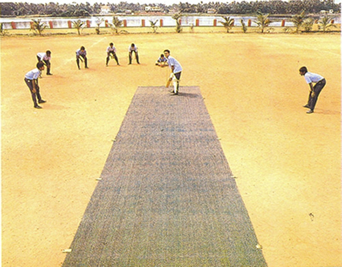cricket match using cricket matting