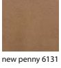 NEW-PENNY-6131