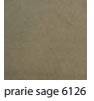 PRAIRE-SAGE-6126