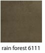 RAIN-FOREST-6111