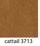 CATTAIL-3713