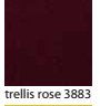 TRELLIS-ROSE-3883