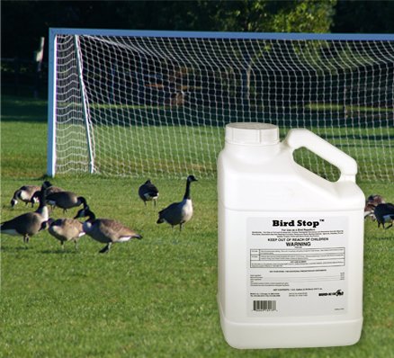 sport field with geese and jug of bird stop