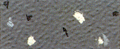 Italian Rubber Flooring - Plan System / Terrazzo 425