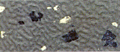 Italian Rubber Flooring - Plan System / Terrazzo 428