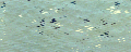 Italian Rubber Flooring - Stud System / Zeus LL - Loose Lay 563
