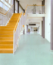 Italian Rubber Flooring - Stud System / Zeus Illustration