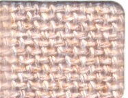 Apricot Neutral 7001