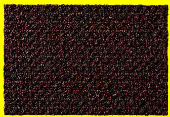 3M Nomad Carpet Mat 4000 - Brown