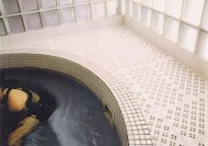 Aqua Step Drain Tile Model