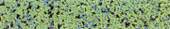 The Mat King New Again Rubber Flooring / Stone-So-Soft - Lemon-Lime Green
