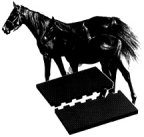 Horses