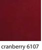 CRANBERRY-6107