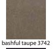 BASHFUL-TAUPE-3742
