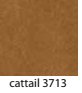 CATTAIL-3713