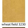 WHEAT-FIELD-3230