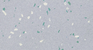 periwinkle