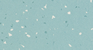 springmint