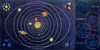 The Mat King Carpet Creations / Super Nova Rug - One Piece