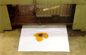 The Mat King Oil Scooper Products Illustration