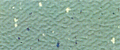 Italian Rubber Flooring - Static Dissipative Flooring (ESD) / Granito Ant48 336