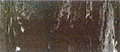 Italian Rubber Flooring - Static Dissipative Flooring (ESD) / Multifloor Ant48 21 Eiffel