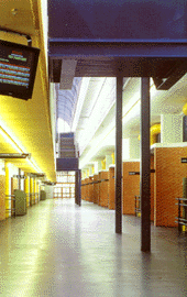 Italian Rubber Flooring - Stud System / Strong BJ 060 Coned Back Illustration