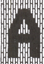 Taj Mahal Area Rug