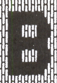 Taj Mahal Area Rug