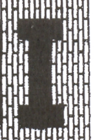 Taj Mahal Area Rug