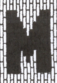 Taj Mahal Area Rug
