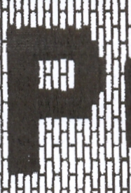 Taj Mahal Area Rug