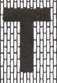 Taj Mahal Area Rug