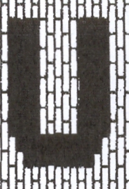 Taj Mahal Area Rug