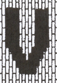 Taj Mahal Area Rug