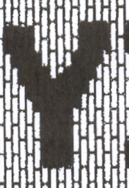 Taj Mahal Area Rug