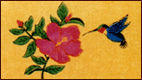 Humming Bird