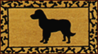 BLK Dog